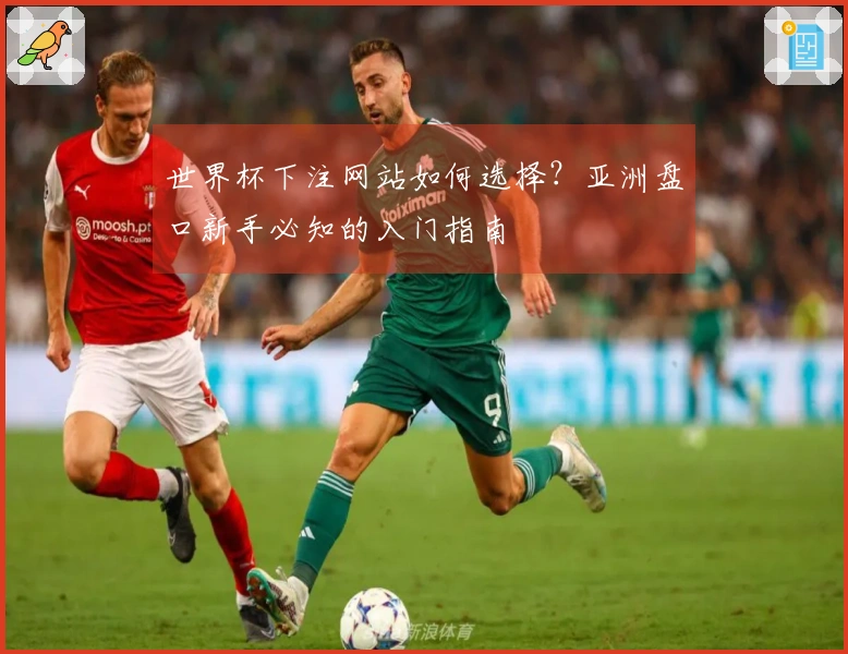 世界杯下注网站如何选择？亚洲盘口新手必知的入门指南