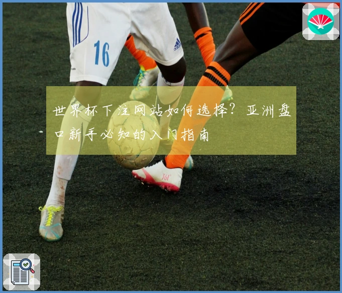世界杯下注网站如何选择？亚洲盘口新手必知的入门指南