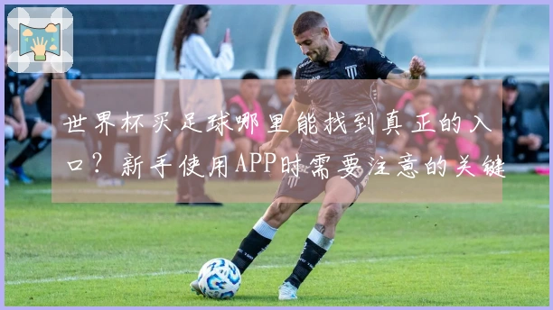 世界杯买足球哪里能找到真正的入口？新手使用APP时需要注意的关键事项