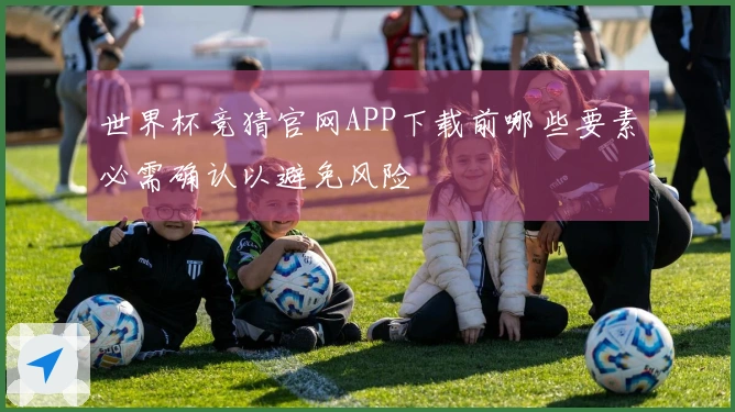 世界杯竞猜官网APP下载前哪些要素必需确认以避免风险