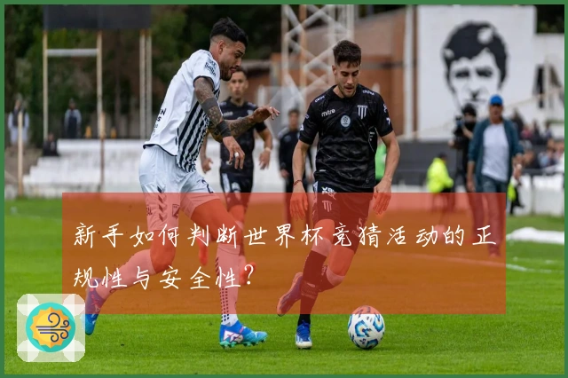 新手如何判断世界杯竞猜活动的正规性与安全性？